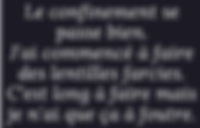 lentilles (2).png
