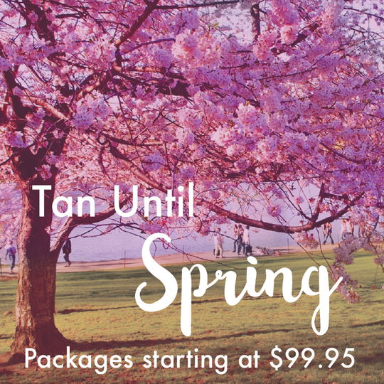 Tanning Salon United States Motor City Tan