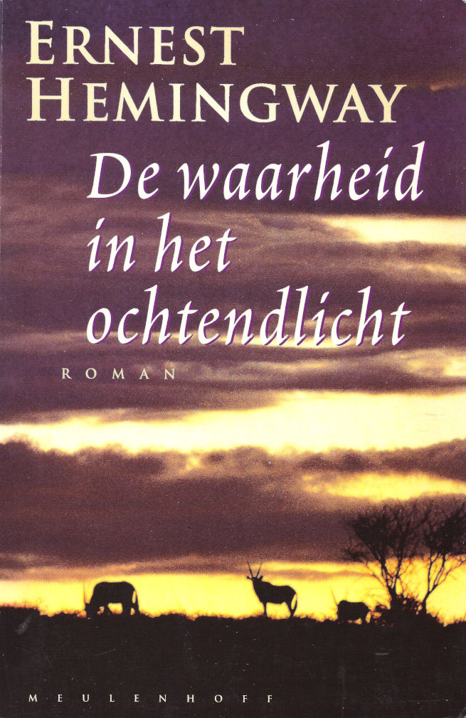De waarheid in het ochtendlicht