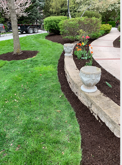 Screen Shot 2020-03-29 at 11.58.11 PM.pn