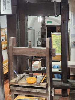 מפעל הנייר בדושניקי זדרוי