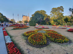 מיינדזיזדרוייה