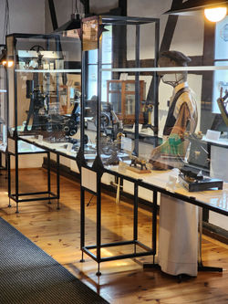 מפעל הנייר בדוש�ניקי זדרוי