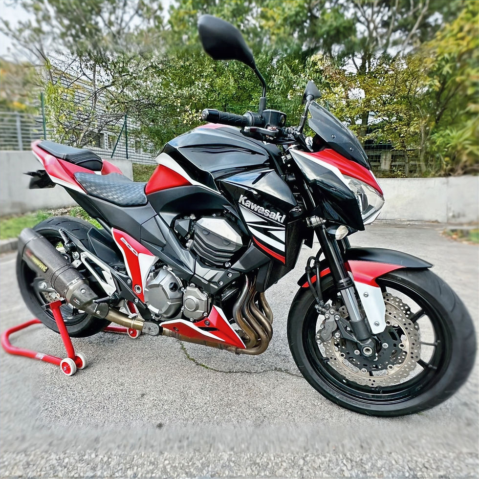 Covering personnalisé Kawasaki Z800