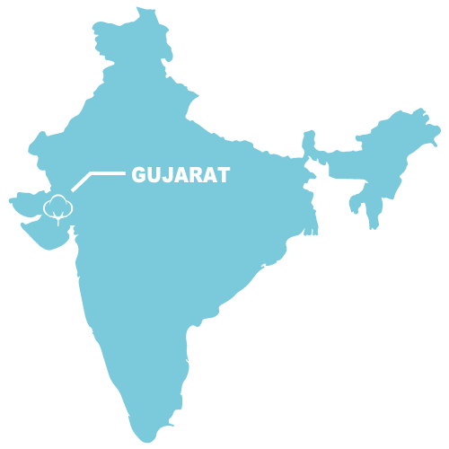 ブルーサージコットンの地図
