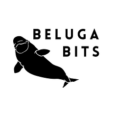 Final Design-Beluga Bits (1).png