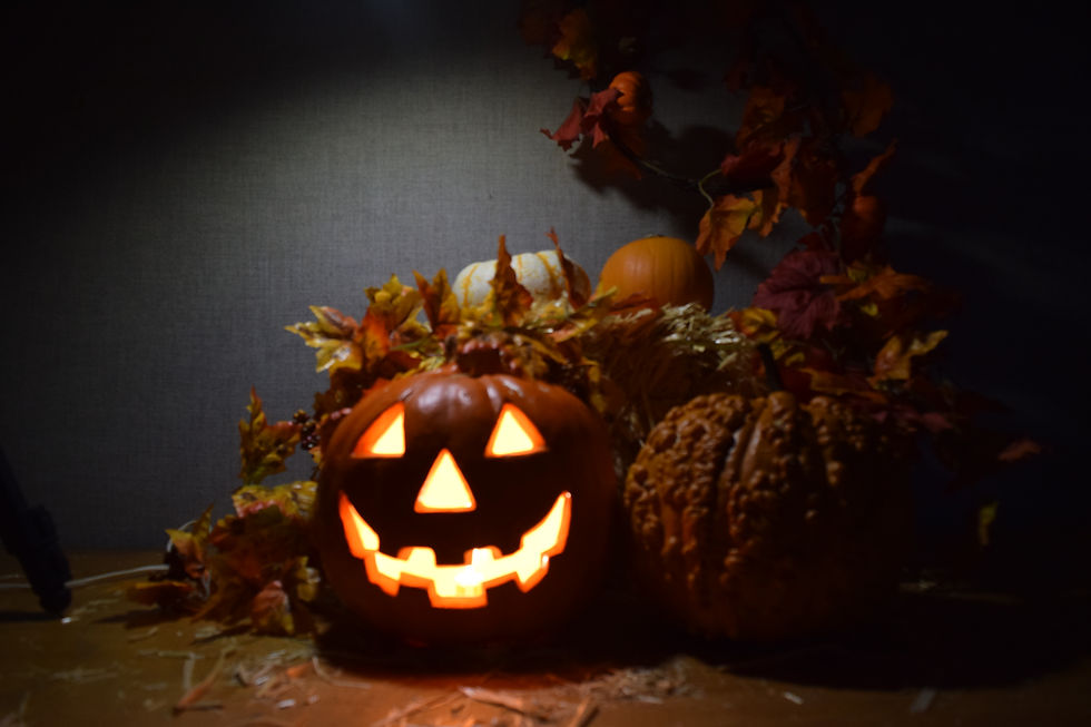 Fall Festival at the Nature Center
