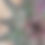 Thumbnail: Mangave 'Watercolor' Steve Super Gardens introduction