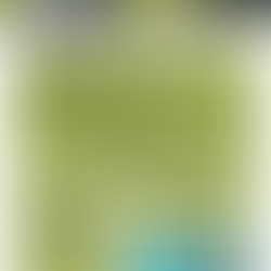 Golf NSW WGNR Annual Open Tournament