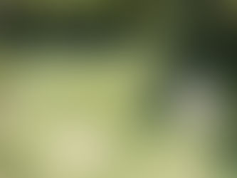 Ladies Results & Updates 27th Feb- 5th March