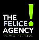 Felice Agency _ StratCraft Partners Work Experience