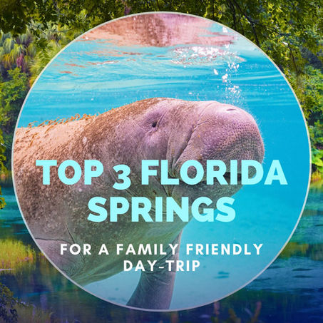 Top 3 Florida Springs for a Family Friendly Day-Trip