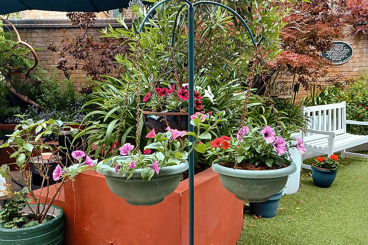 Hanging baskets June 2024.jpg