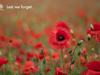 Remembrance Sunday 2024: Honouring Service, Sacrifice, and Resilience
