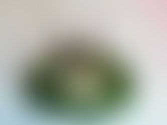 The fifth candle of advent is lit on Christmas Day