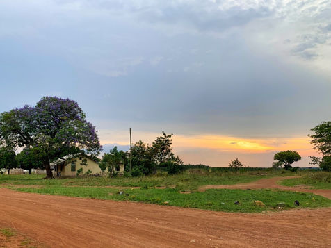 A rural landscape in Uganda as a backdrop to our Education Exchange Programme Appeal