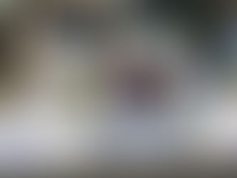 Nova Medical School Students Explore Nutrition and Sleep at Mildmay