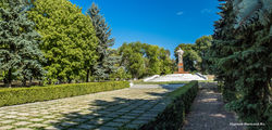 Рышканы