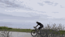 bike-ride-dylan.gif