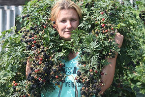 я и орегон ( Эвергрин Торнлес).jpg