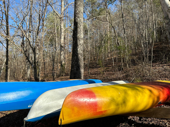 Kayak Fleet