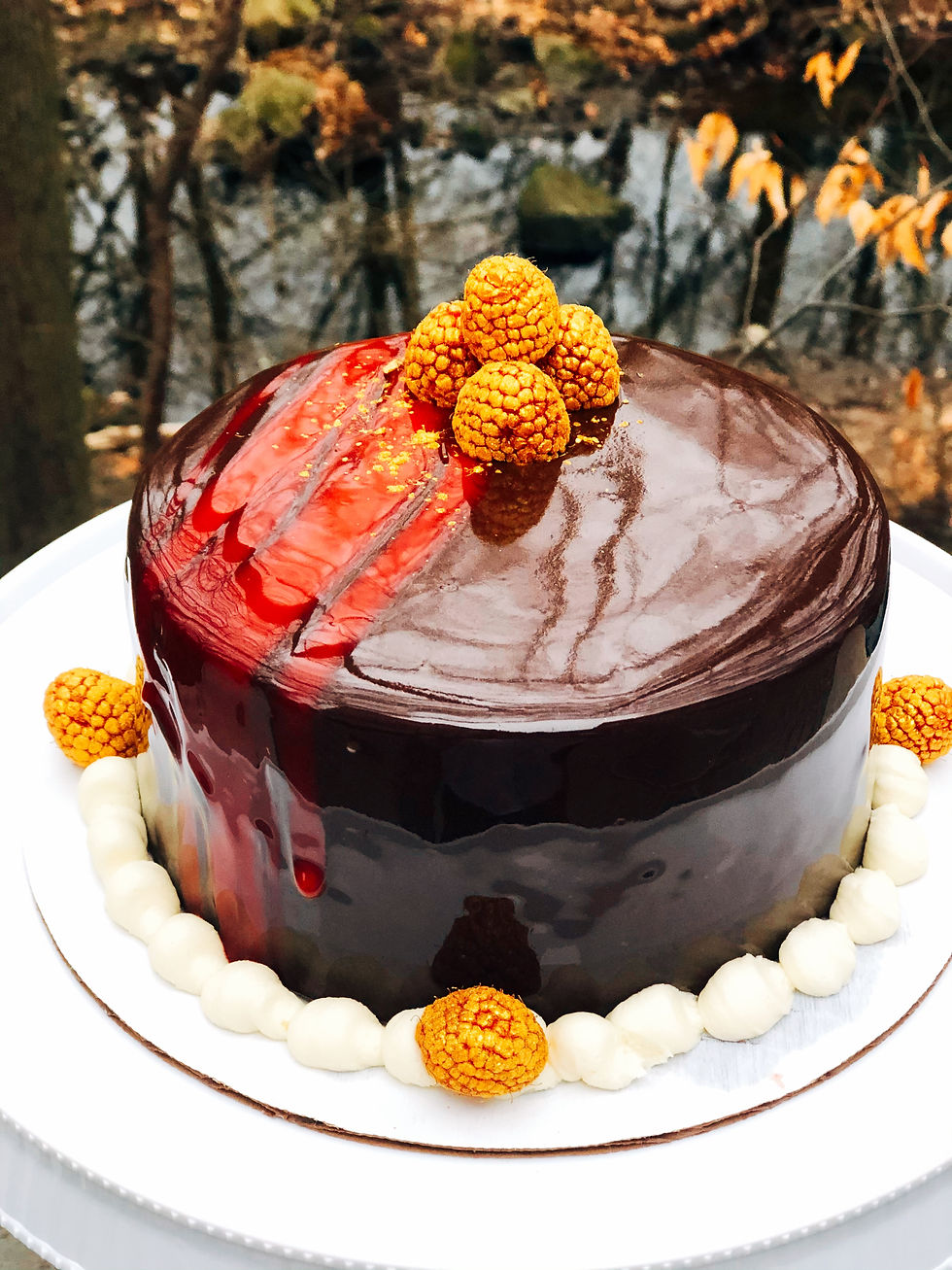 Chocolate Mirror Cake.JPG