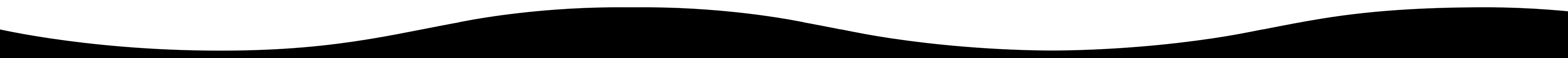 GlindaWebsite_divider_L.webp