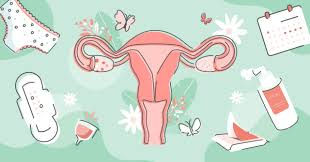 Understanding Your Cycle: Cramps, Hormones, and Mood Swings