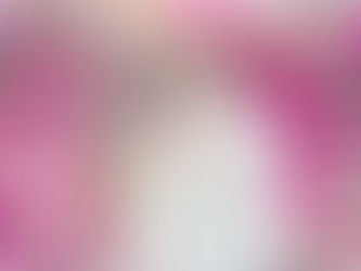 カラーズのフォトプランについて