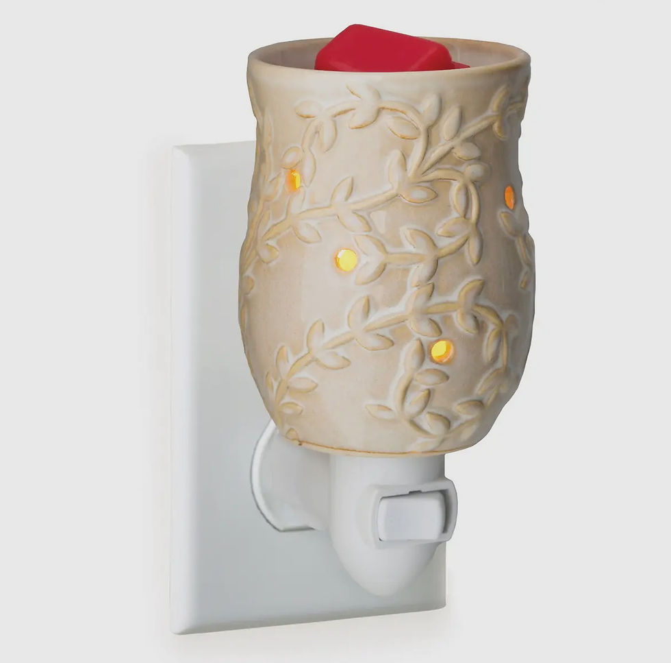 Pluggable Wax Warmer