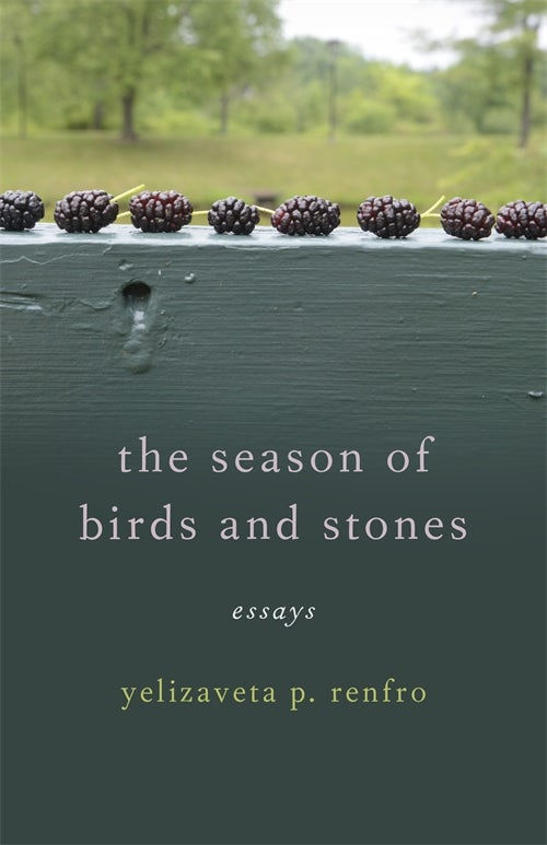 the season of birds and stones cover.jpg