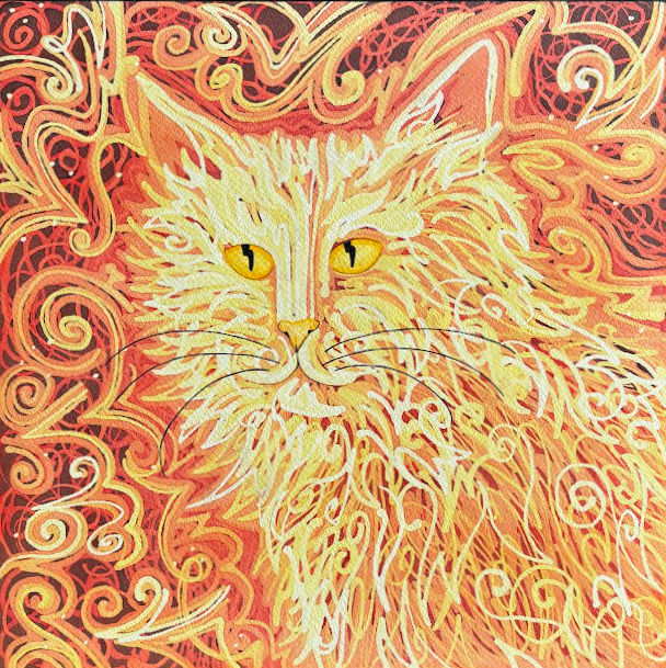 Quasar Cat