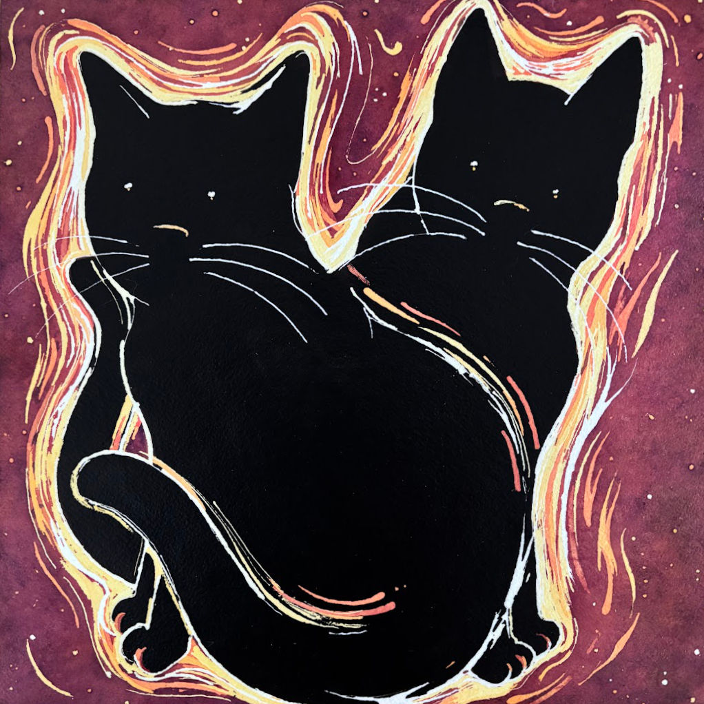 Binary Black Hole Cats