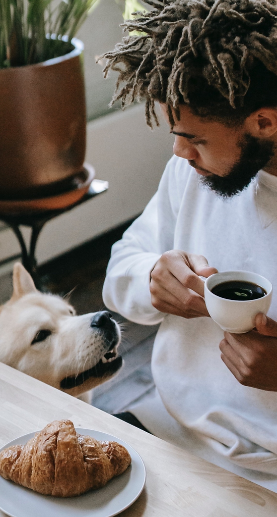 Enjoying breakfast at home with dog while The Freshy Fresh takes care of your laundry.