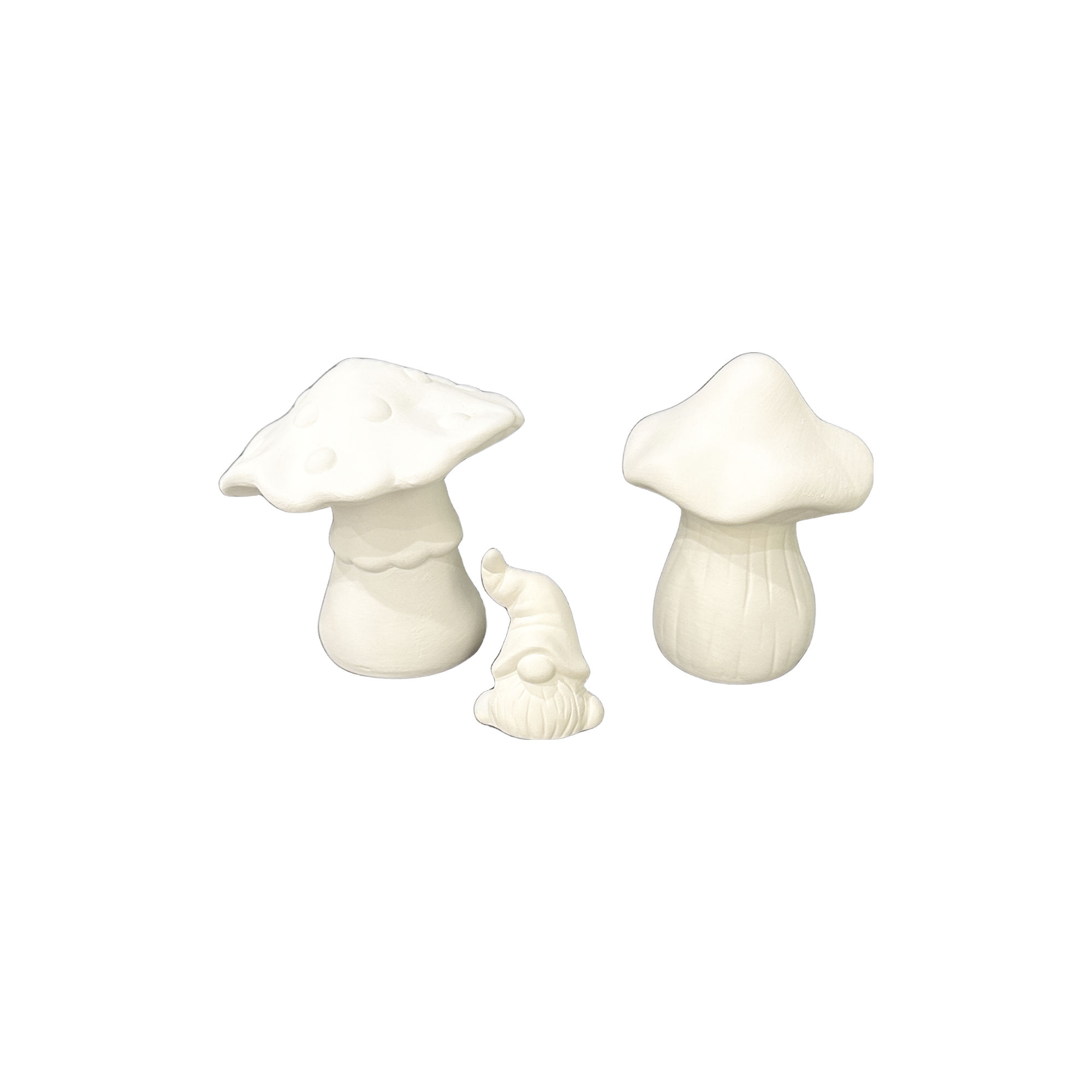MUSHROOM PACK