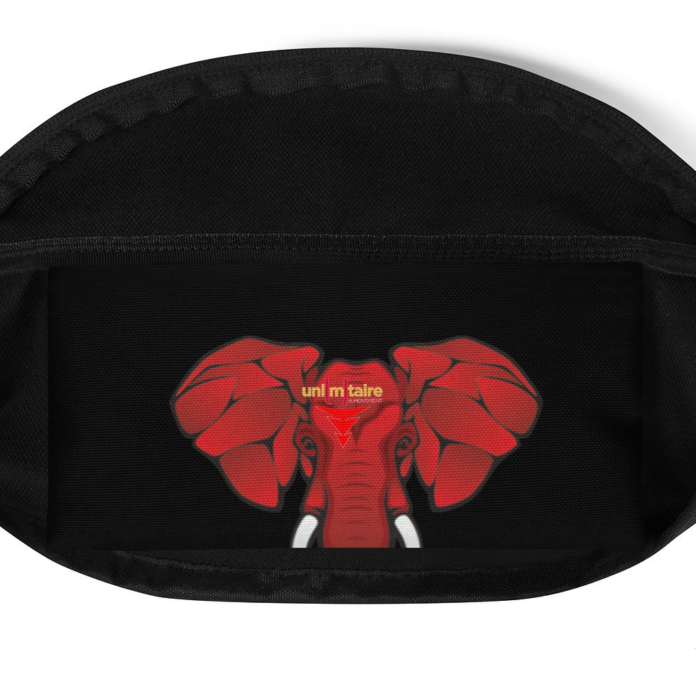 Thumbnail: LUX UNITED TRILLI'$ HIM/HER Fanny Pack