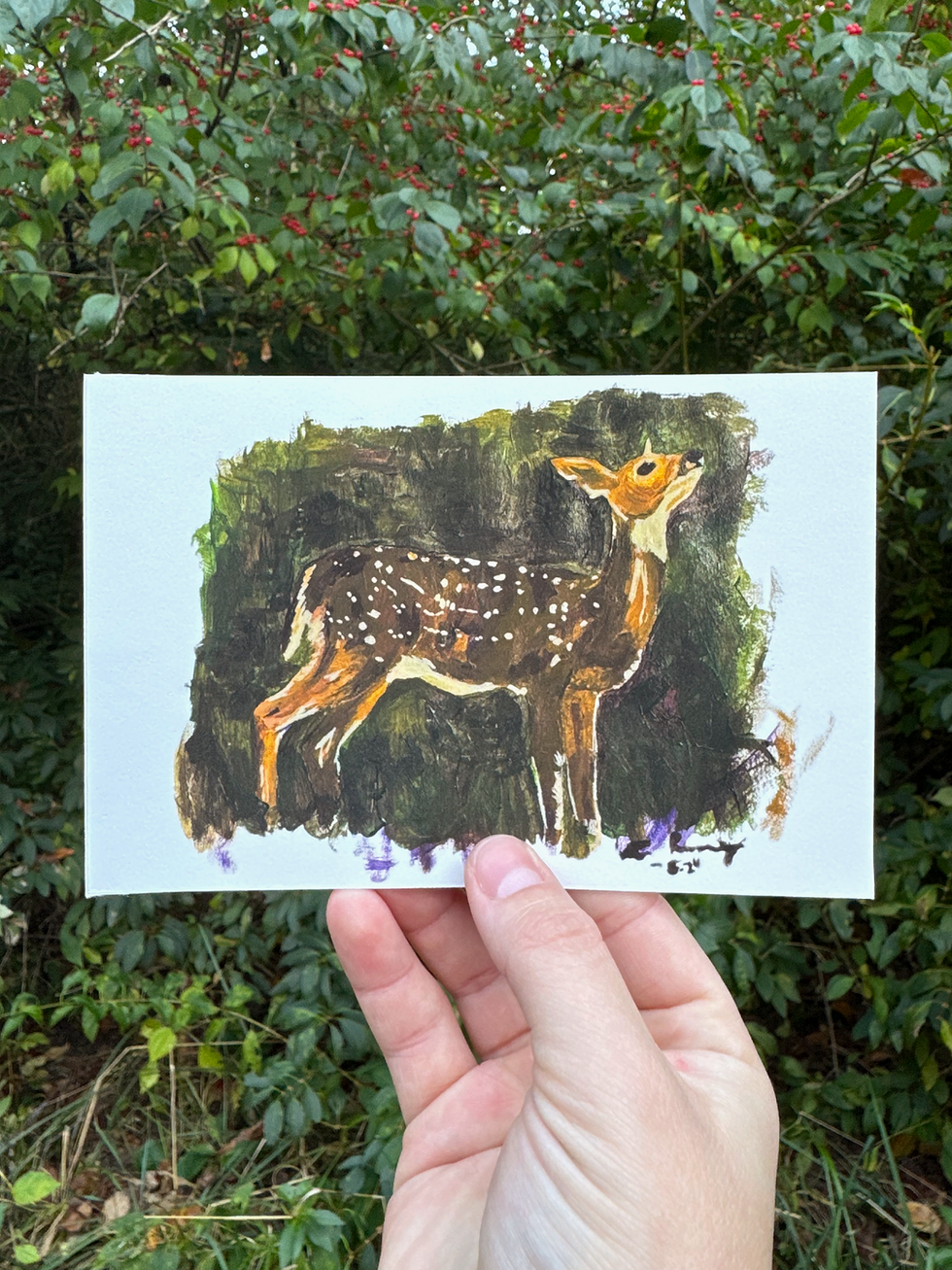 Thumbnail: "Deer Fawn" Michigan Wildlife Print