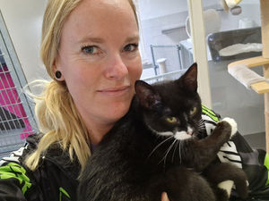 Wie is Suus eigenlijk?