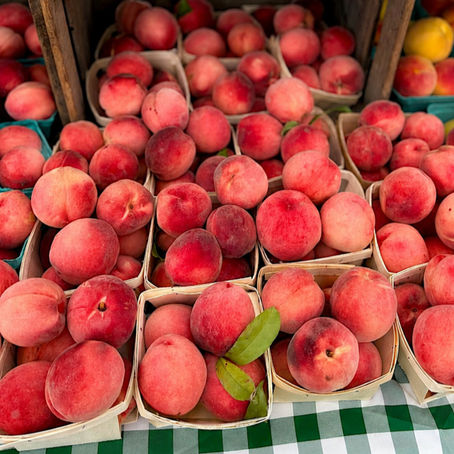 Peach Season Update