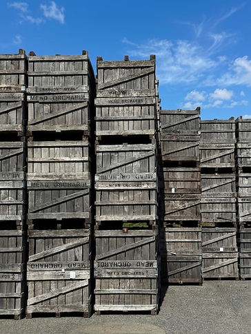 Mead Orchards apple creates2.png