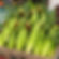 mead orchards millwood farmstand_edited.jpg