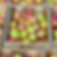 apples-in-boxes-15363108061G3_edited.jpg