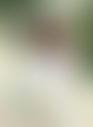 The Wedding Stylist and Rock my Wedding 