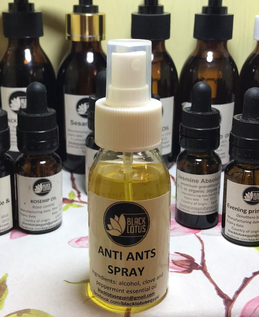 Repellent: Anti Ants