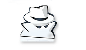 NAVEGANDO NA INTERNET COM PRIVACIDADE