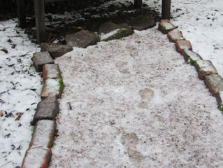 Prayer Garden