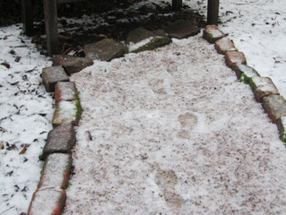 Prayer Garden