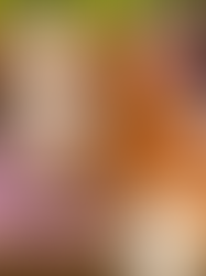 A Cavalier King Charles Puppy in a Basket With Flowers