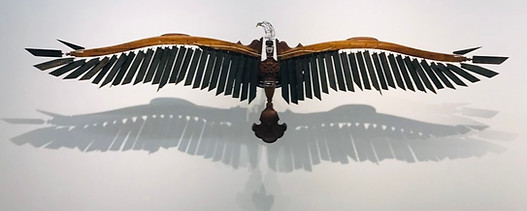 Jeremy Rockwell Eagle