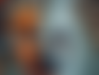 inspeção de porta paletes